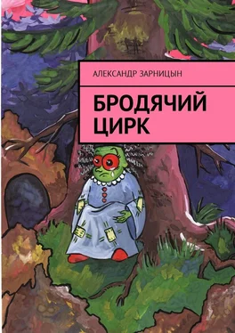 Александр Зарницын Бродячий цирк обложка книги