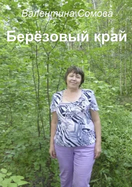 Валентина Сомова Берёзовый край обложка книги