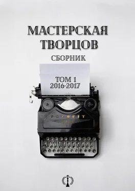 Юлия Гнездилова Сборник. Том I. 2016-2017 обложка книги