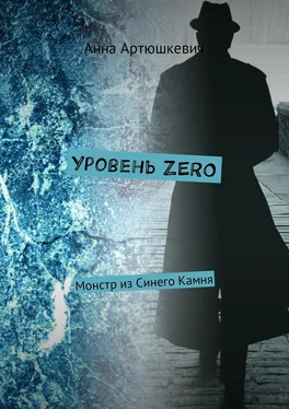 Анна Артюшкевич Уровень ZERO. Монстр из Синего Камня обложка книги