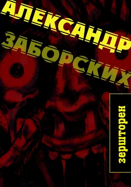 Александр Заборских Зершторен обложка книги