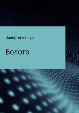 Валерий Вычуб Болото обложка книги