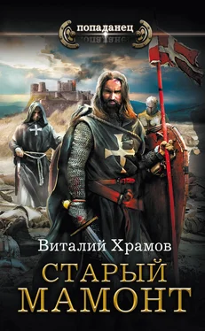 Виталий Храмов Катарсис. Старый Мамонт обложка книги