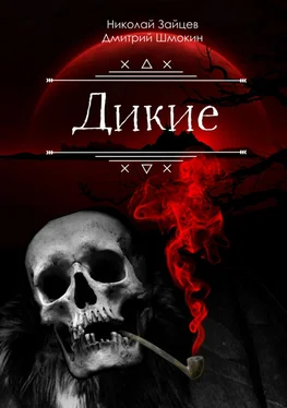 Дмитрий Шмокин Дикие обложка книги