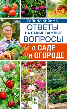 Галина Кизима Ответы на самые важные вопросы о саде и огороде обложка книги