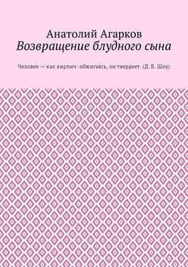 Анатолий Агарков Возвращение блудного сына обложка книги