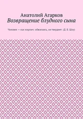 Анатолий Агарков - Возвращение блудного сына