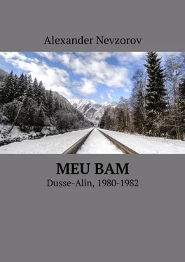 Alexander Nevzorov Meu BAM. Dusse-Alin, 1980-1982 обложка книги