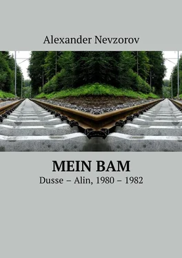 Alexander Nevzorov Mein BAM. Dusse—Alin, 1980—1982 обложка книги