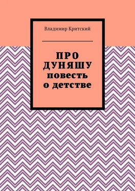 Владимир Критский Про Дуняшу. Повесть о детстве обложка книги