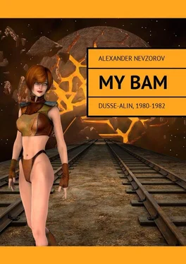 Alexander Nevzorov My BAM. Dusse-Alin, 1980—1982 обложка книги