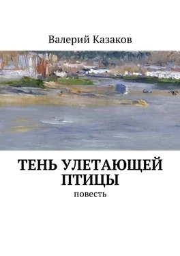 Валерий Казаков Тень улетающей птицы. Повесть обложка книги