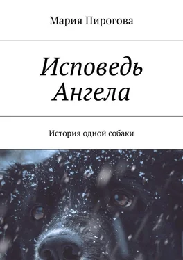 Мария Пирогова Исповедь Ангела. История одной собаки обложка книги