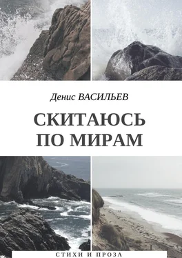 Денис Васильев Скитаюсь по мирам. Стихи и проза обложка книги