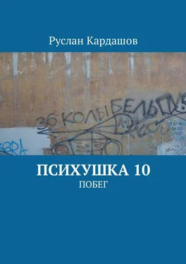 Руслан Кардашов Психушка 10. Побег обложка книги