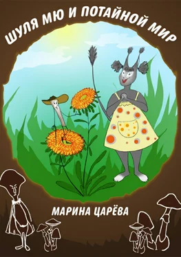 Марина Царёва Шуля Мю и потайной мир обложка книги