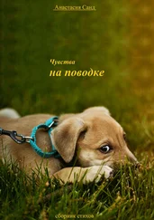 Анастасия Санд - Чувства на поводке. Сборник стихотворений