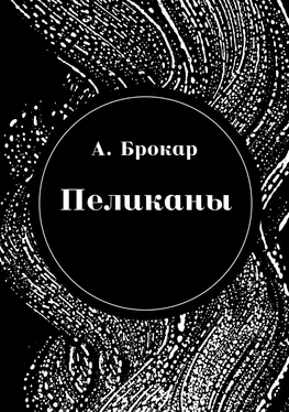 Антон Брокар Пеликаны обложка книги