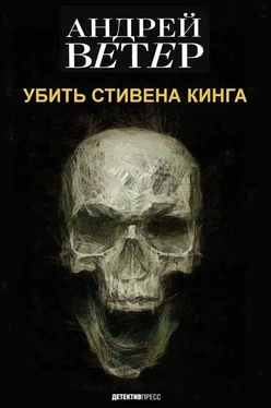 Андрей Ветер-Нефёдов УБИТЬ СТИВЕНА КИНГА обложка книги