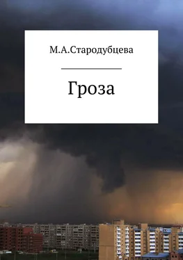 Мария Стародубцева Гроза обложка книги