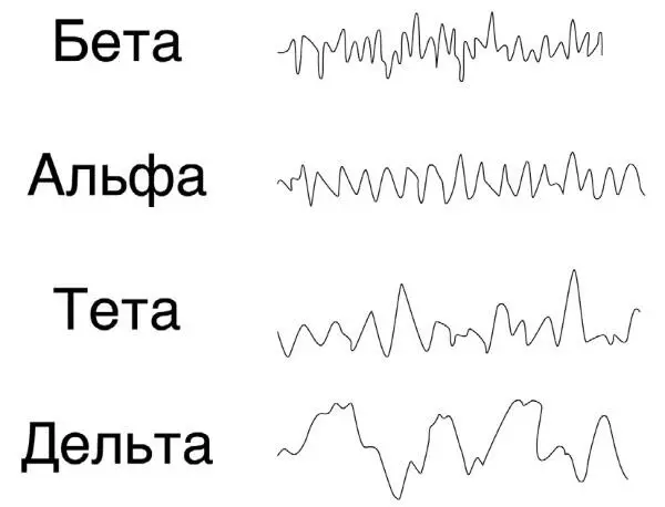 Биоритмы головного мозга Бетаволны самые частые Мозг генерирует их в - фото 4