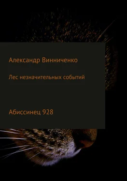 Александр Винниченко Лес незначительных событий. Часть 4. Абиссинец 928 обложка книги