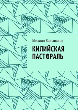 Михаил Большаков Килийская пастораль обложка книги