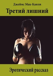 Джеймс Мак-Канли - Третий лишний