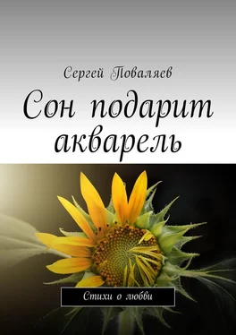 Сергей Поваляев Сон подарит акварель. Стихи о любви обложка книги