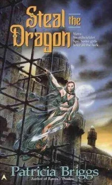 Patricia Briggs Steal the Dragon обложка книги