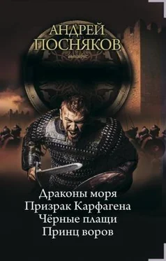 Андрей Посняков Принц воров обложка книги