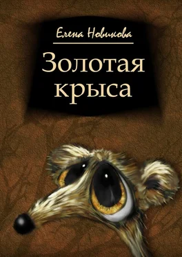 Елена Новикова Золотая крыса обложка книги