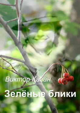 Виктор Каган Зелёные блики обложка книги