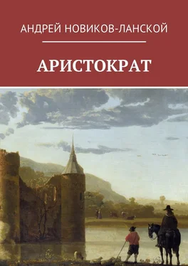 Андрей Новиков-Ланской Аристократ обложка книги