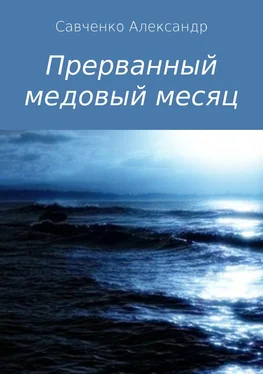 Александр Савченко Прерванный медовый месяц обложка книги