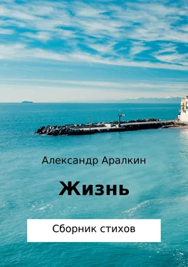 Александр Аралкин Жизнь обложка книги