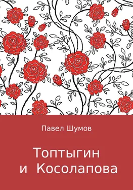 Павел Шумов Топтыгин и Косолапова обложка книги