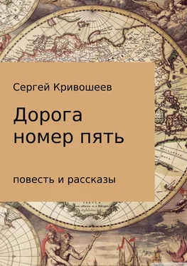 Сергей Кривошеев Дорога номер пять обложка книги