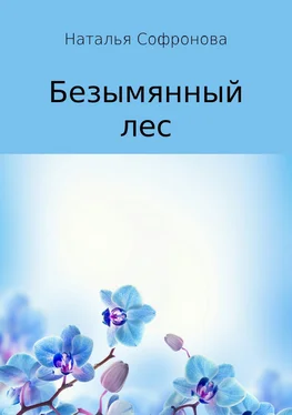 Наталья Софронова Безымянный лес обложка книги