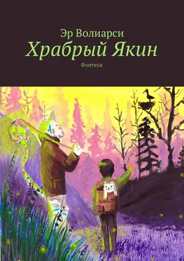 Эр Волиарси Храбрый Якин. Фэнтези обложка книги