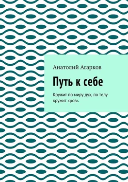 Анатолий Агарков Путь к себе. Кружит по миру дух, по телу кружит кровь обложка книги