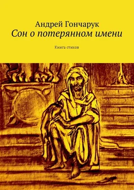 Андрей Гончарук Сон о потерянном имени. Книга стихов обложка книги