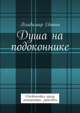 Владимир Едапин Душа на подоконнике. Дневниковая проза, миниатюры, зарисовки обложка книги