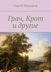 Сергей Максаков - Грач, Крот и другие