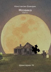 Константин Бояндин - Мозаика. Книга 1