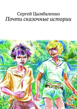 Сергей Цымбаленко Почти сказочные истории обложка книги