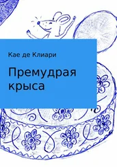 Кае Клиари - Премудрая крыса