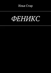 Илья Стар - Феникс. Повесть года