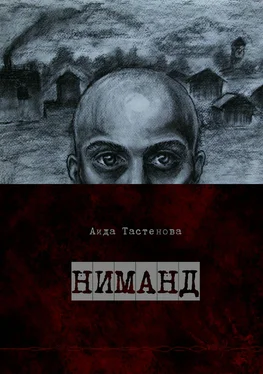 Аида Тастенова Ниманд обложка книги
