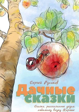 Сергей Русаков Дачные сказки. Сказки, рассказанные дедом любимому внуку Кирюше обложка книги